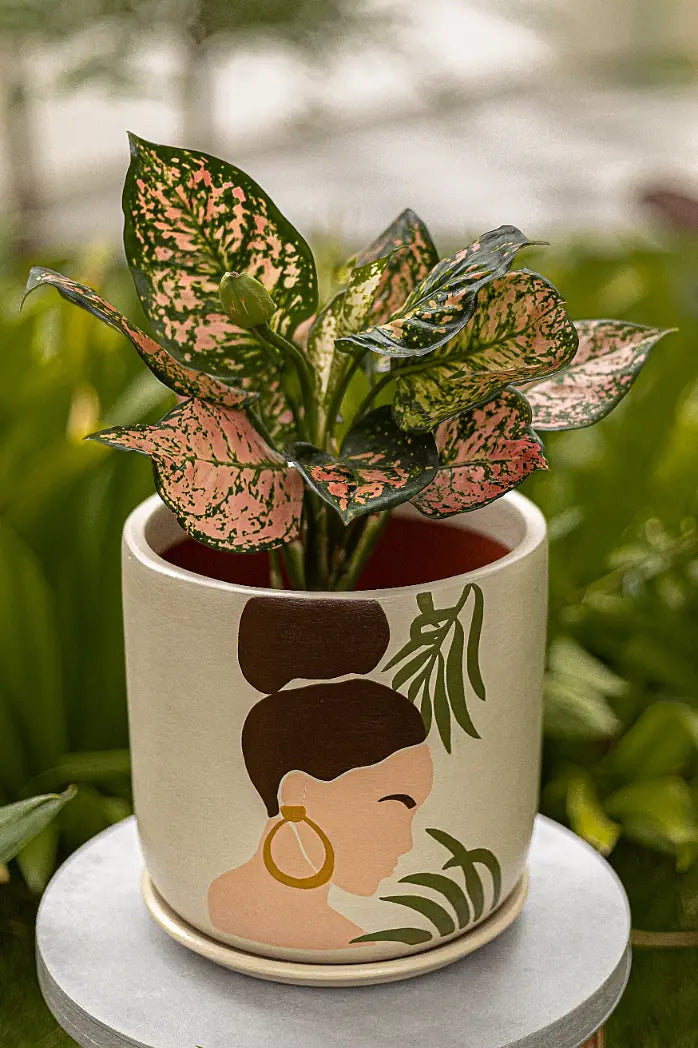 Handcrafted Gifts Handmade Terracotta Planters