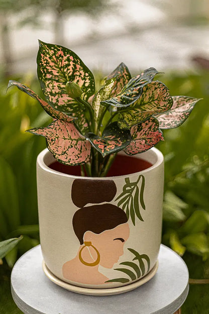 Handcrafted Gifts Handmade Terracotta Planters