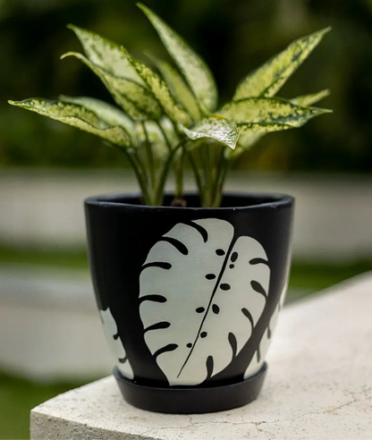 Monstera Black Planter Handmade Terracotta Planters Craft Delights India