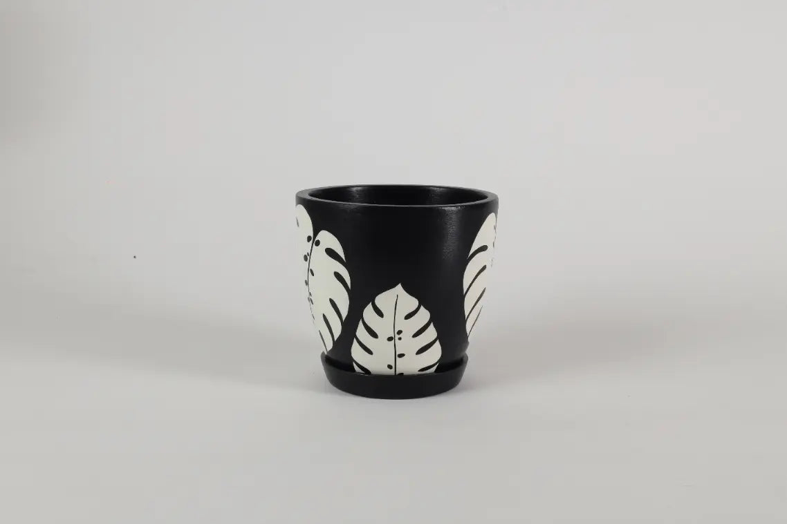 Monstera Black Planter Terracotta Pots Online India Eco Friendly Gifts