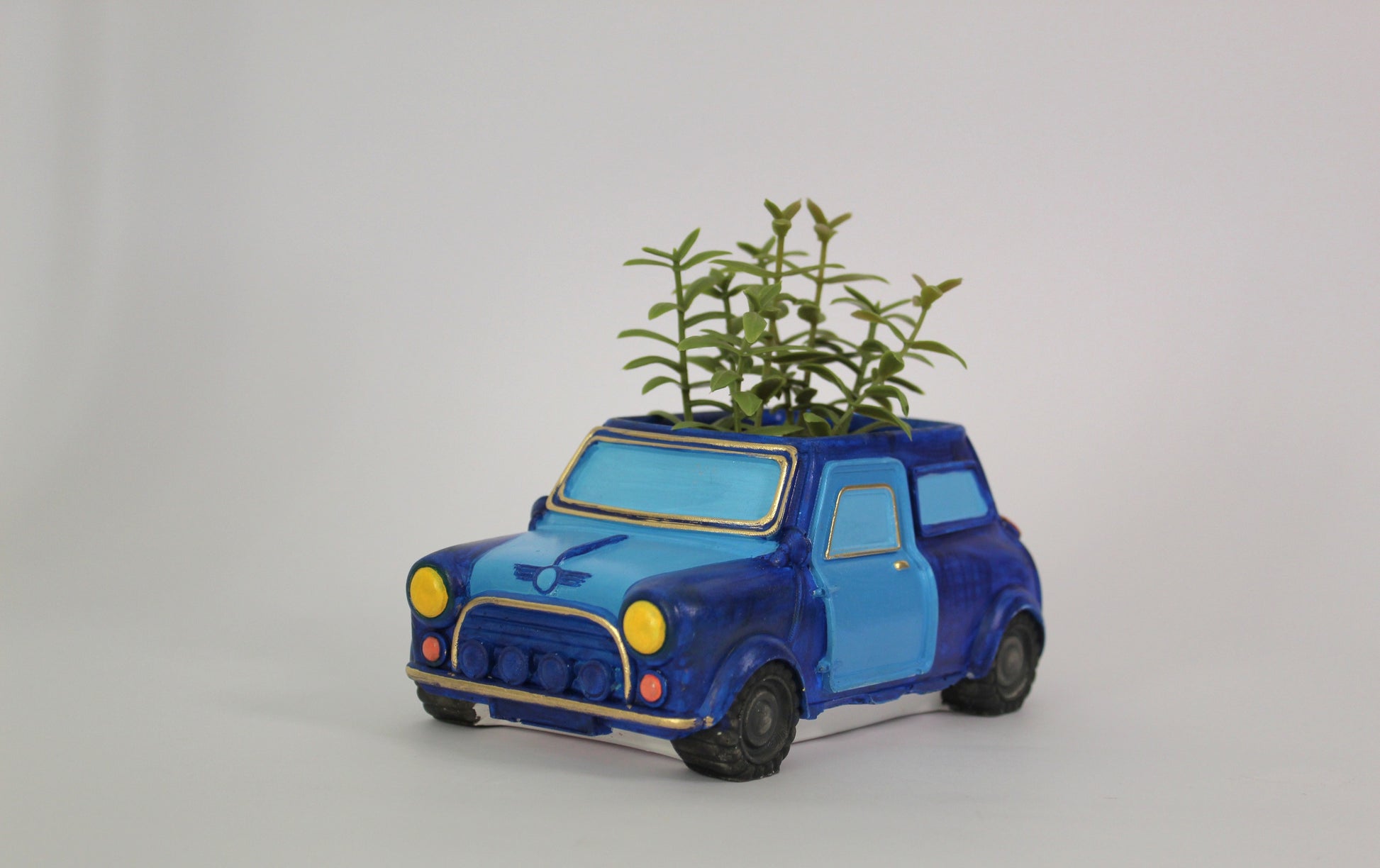 Paint Your Own Planter Organizer Car Eco Friendly Gifts Sustainable Concrete