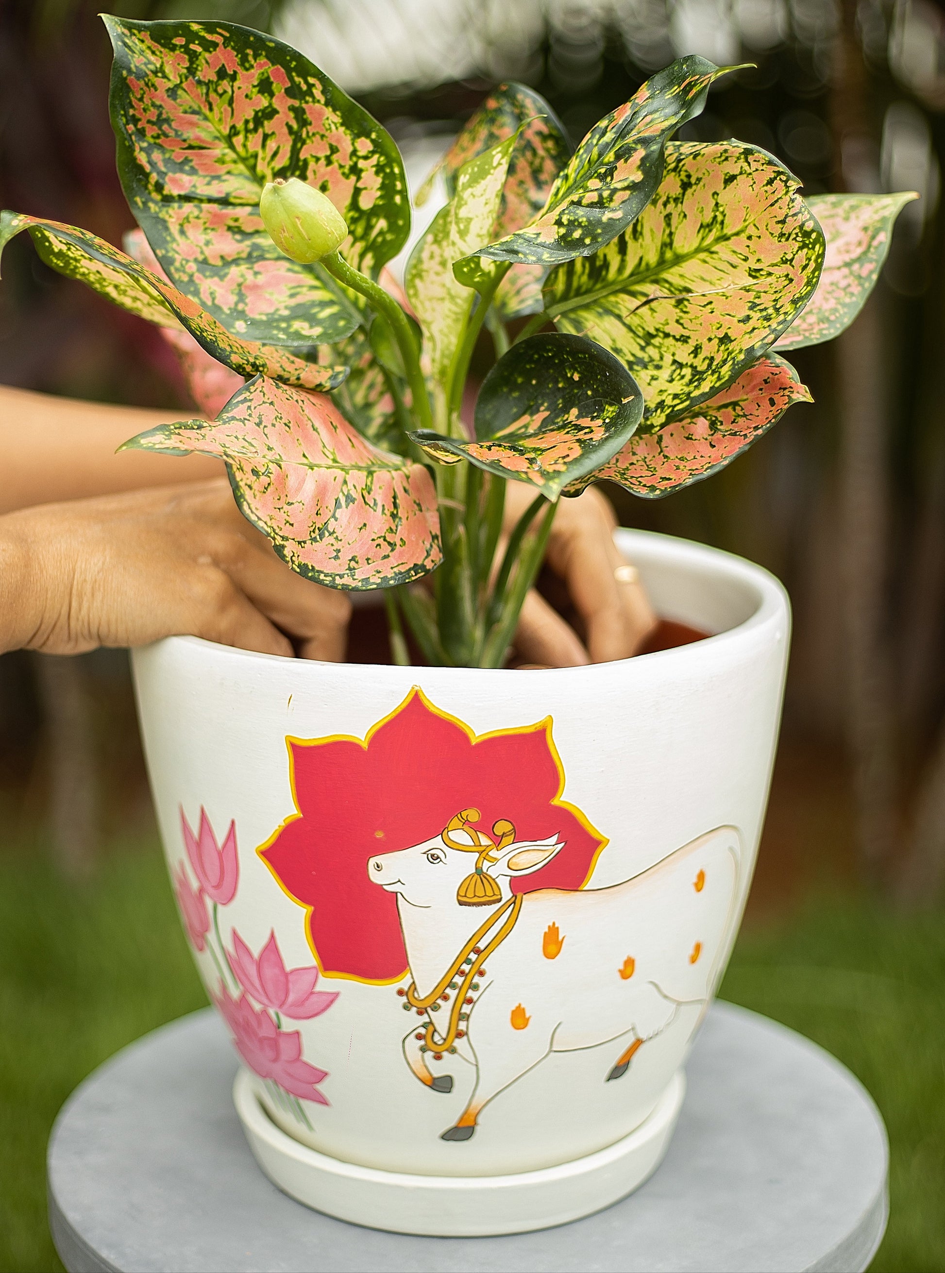 Pichwai Cow P Planter Hand Painted Planters Premium Home Décor