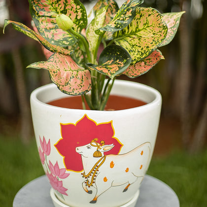Pichwai Cow P Planter Handmade Terracotta Planters Craft Delights India