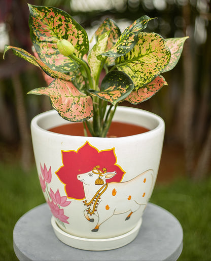 Pichwai Cow P Planter Handmade Terracotta Planters Craft Delights India