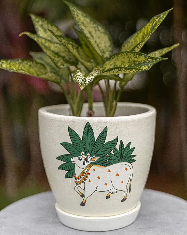 Pichwai Cow Planter Handmade Terracotta Planters Craft Delights India