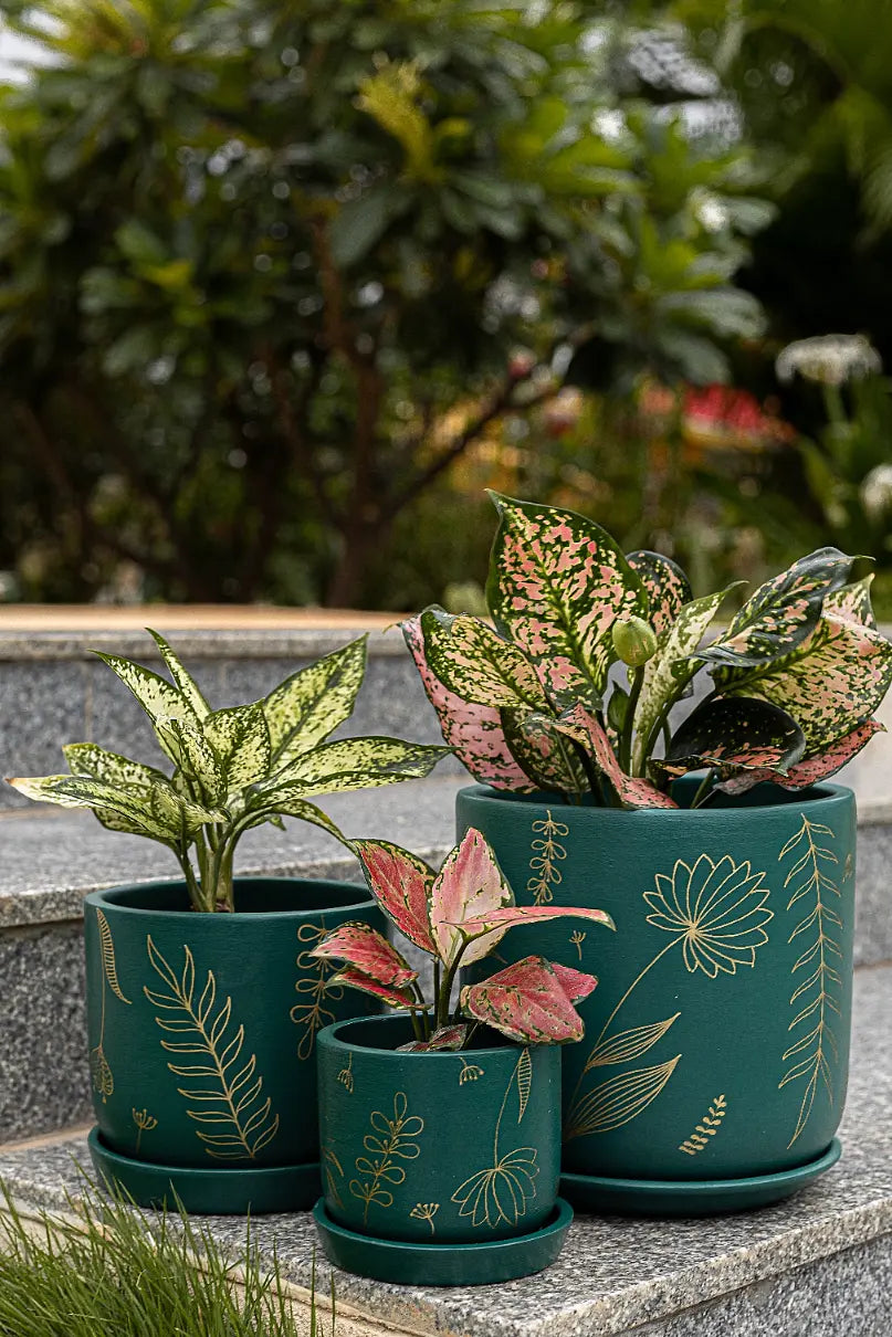 Premium Home Décor Handcrafted Gifts Planter Trio