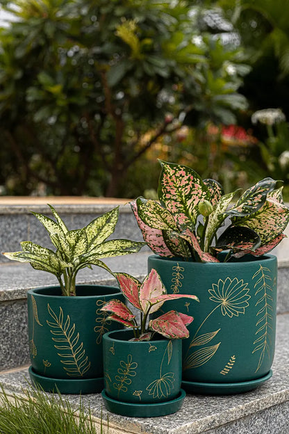 Premium Home Décor Handcrafted Gifts Planter Trio