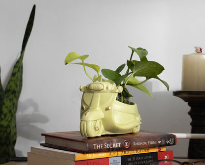 Scooter Planter Organizer Green Botanical Theme Premium Home Décor