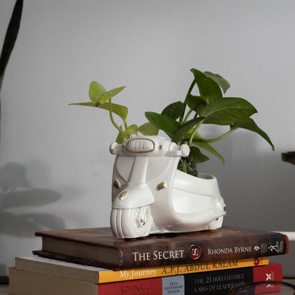 Scooter Planter Organizer White Minimalist Premium Home Décor