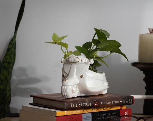 Scooter Planter Organizer White Minimalist Premium Home Décor