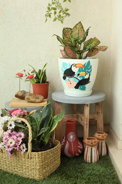 Toucan D Planter Hand Painted Planters Premium Home Décor