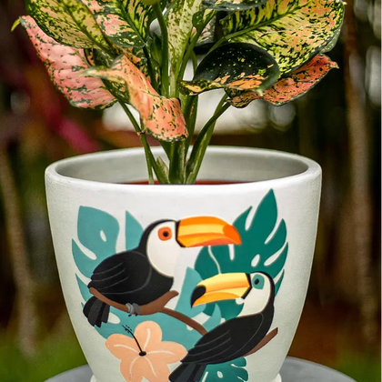 Toucan D Planter Handmade Terracotta Planters Craft Delights India