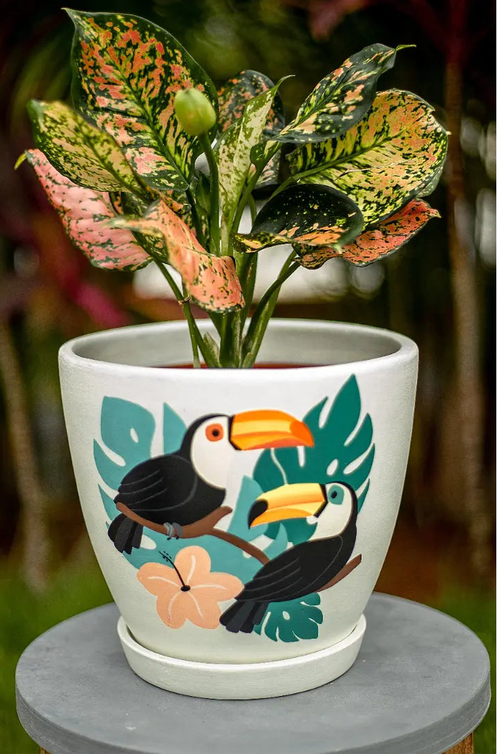 Toucan D Planter Handmade Terracotta Planters Craft Delights India