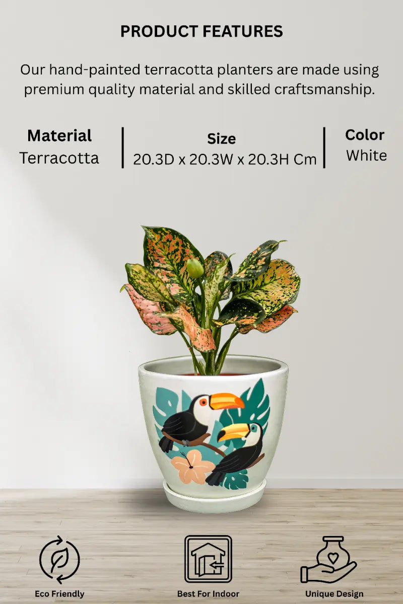 Toucan D Planter Terracotta Pots Online India Eco Friendly Gifts