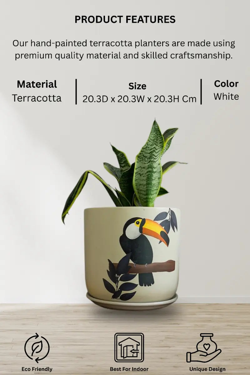 Toucan S Planter Decorative Garden Planters Gifts For Office Desk