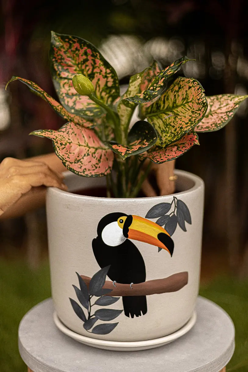 Toucan S Planter Hand Painted Planters Premium Home Décor