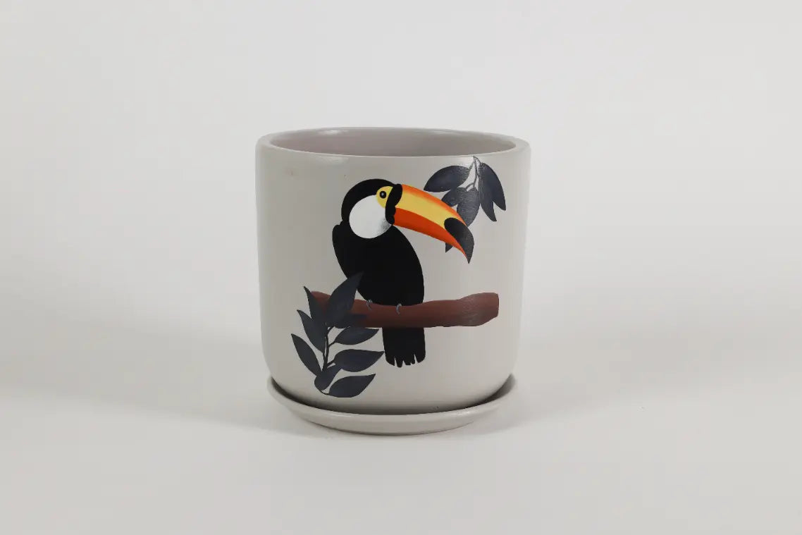 Toucan S Planter Handcrafted Gifts For Birthdays and Housewarmings