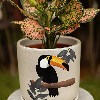 Toucan S Planter Handmade Terracotta Planters Craft Delights India