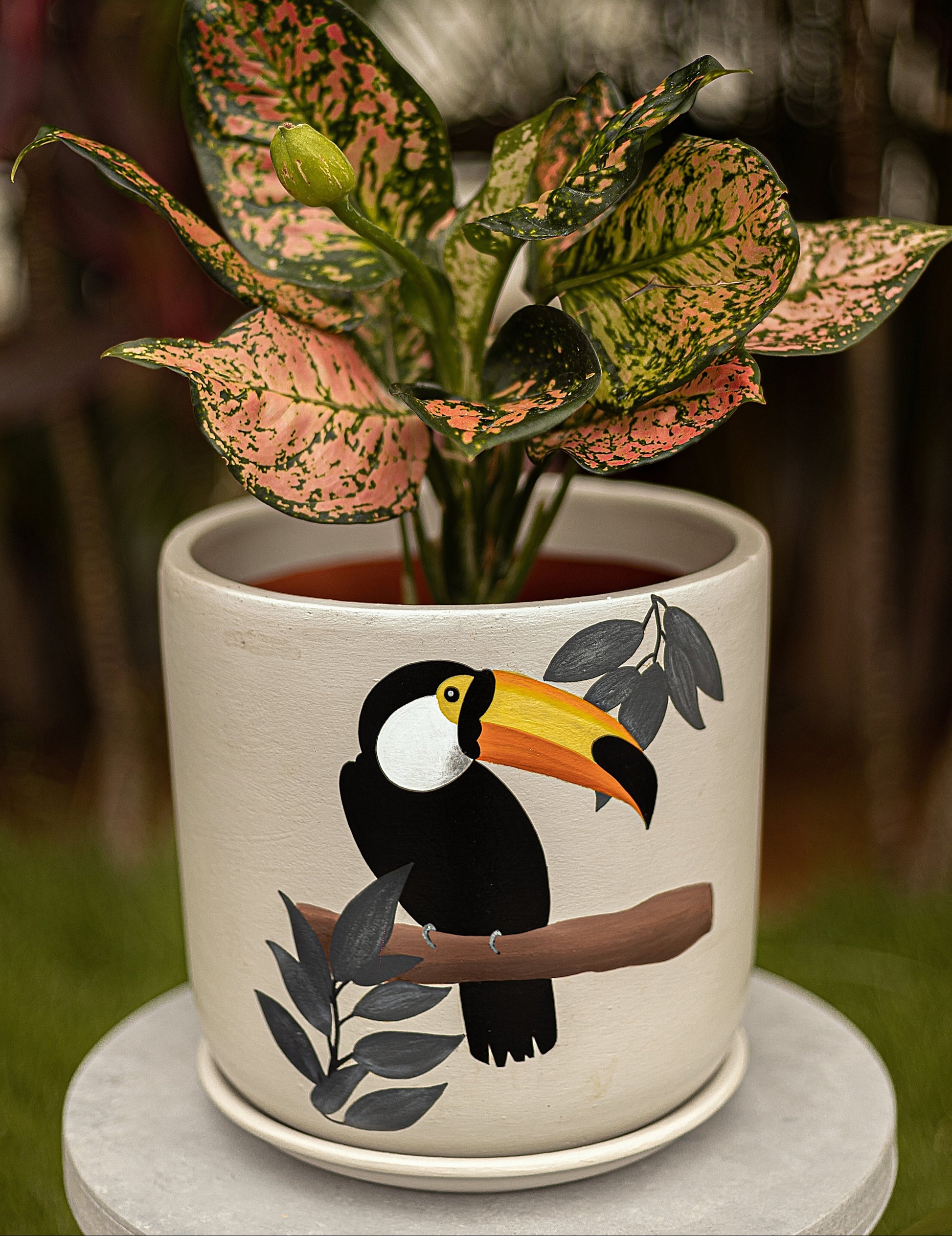 Toucan S Planter Handmade Terracotta Planters Craft Delights India