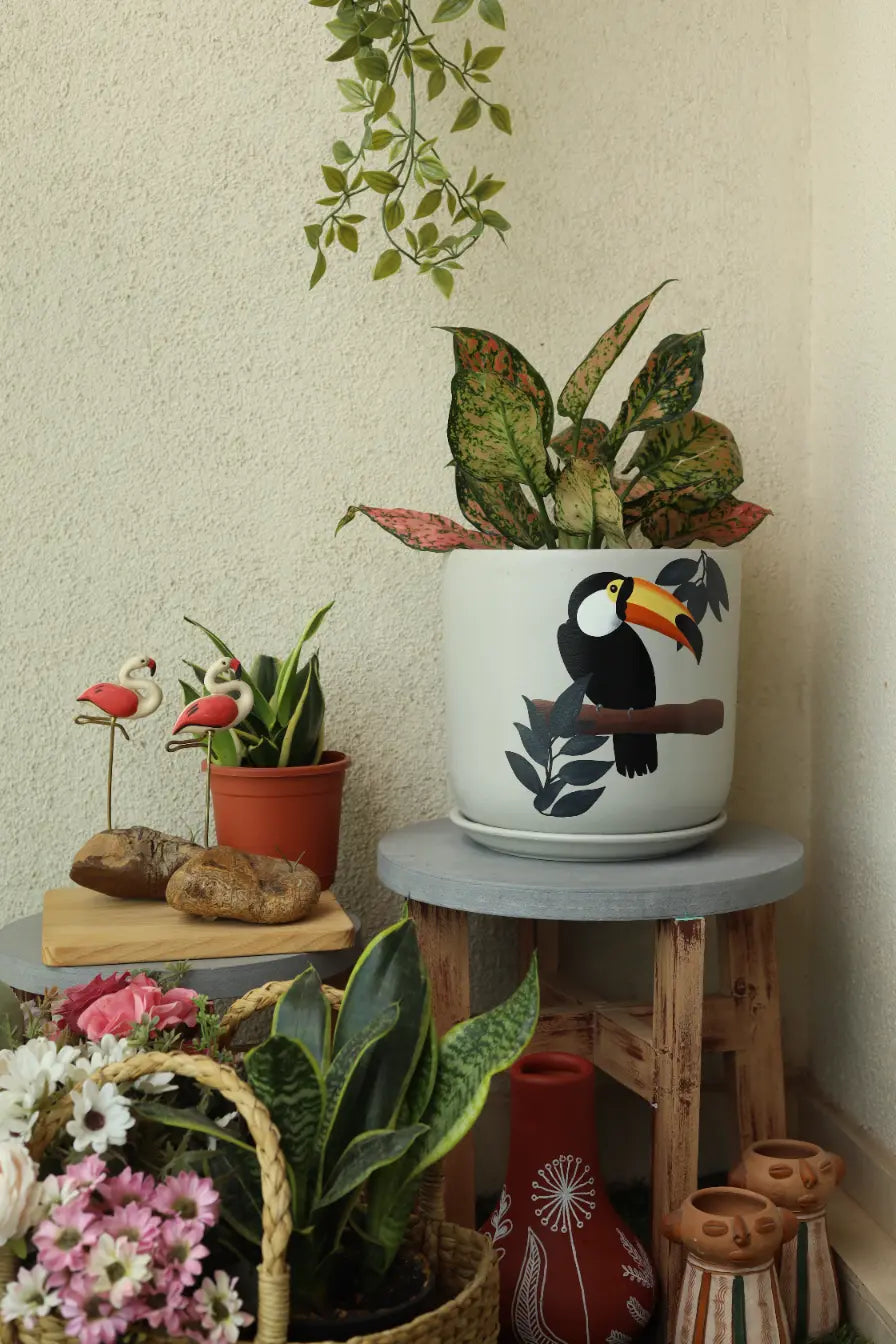 Toucan S Planter Terracotta Pots Online India Eco Friendly Gifts