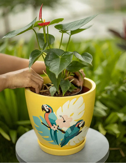 Tropical Parrot Planter Hand Painted Planters Premium Home Décor