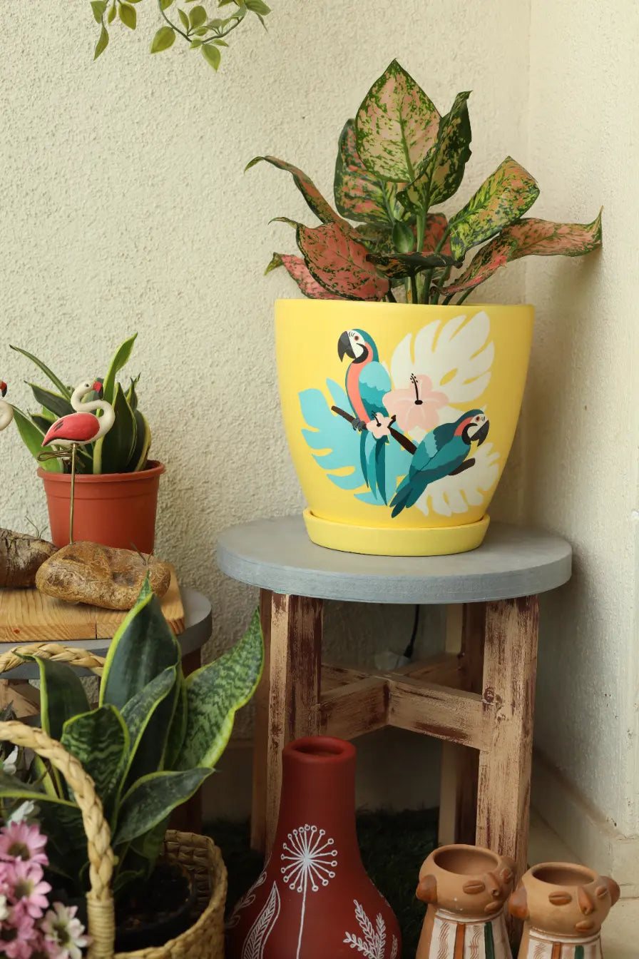Tropical Parrot Planter Terracotta Pots Online India Eco Friendly Gifts
