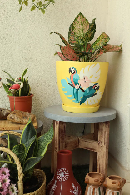 Tropical Parrot Planter Terracotta Pots Online India Eco Friendly Gifts
