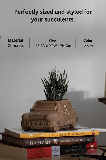 Unique Handcrafted Gifts for Plant Lovers and Office Desks Brown